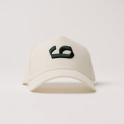Perspective Hat